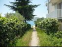 Apartementen Dream - nearby the sea: A1-small(2), A2-midldle(2), A3-large(4+1) Seline - Riviera Zadar  - tuin