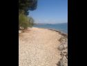 Apartementen en kamers Voyasi - 60 m from sea: A1(2), A2(2), A4(2), A6(2), A7(4), R5(2) Starigrad-Paklenica - Riviera Zadar  - strand