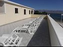 Apartementen Stjepan- 10 m from beach A1 prizemlje desno(2+2), A2 prizemlje lijevo(2+2), A3 1.kat lijevo(2+2) Vir - Riviera Zadar  - gezamelijke terras (huis en omgeving)