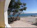 Apartementen Stjepan- 10 m from beach A1 prizemlje desno(2+2), A2 prizemlje lijevo(2+2), A3 1.kat lijevo(2+2) Vir - Riviera Zadar  - Appartement - A1 prizemlje desno(2+2): uitzicht op zee