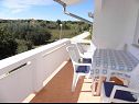 Apartementen VINK - 80 m from beach A2(4), A3(4), A4(4) Vir - Riviera Zadar  - Appartement - A2(4): overdekt terras