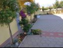 Apartementen Vanja - terrace & BBQ A1(4+2), A2(4+1) Vir - Riviera Zadar  - tuin