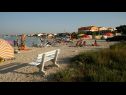 Apartementen Tihana - 200 m from sea: A1(4+1) Vir - Riviera Zadar  - strand