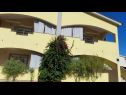 Apartementen Vanja - terrace & BBQ A1(4+2), A2(4+1) Vir - Riviera Zadar  - huis