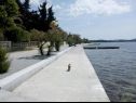 Apartementen Franka - 70 m from sea: A1(6) Zadar - Riviera Zadar  - detail