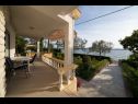 Vakantiehuizen Villa Petar 1 - 10m from sea: H(4) Zadar - Riviera Zadar  - Kroatië  - huis