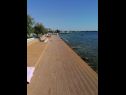 Apartementen Petin - 5m from the sea: A1(2+2), A2(2+2) Zadar - Riviera Zadar  - strand