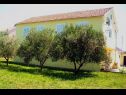 Apartementen Mir - family apartments with garden terrace A1(4), A2(2) Zaton (Zadar) - Riviera Zadar  - huis