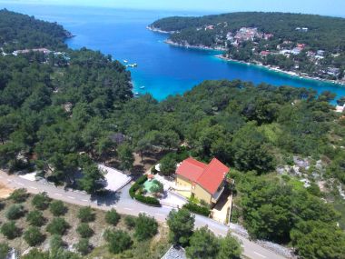 Vakantiehuizen Denis - 100 m from beach: H(11) Baai Osibova (Milna) - Eiland Brac  - Kroatië 