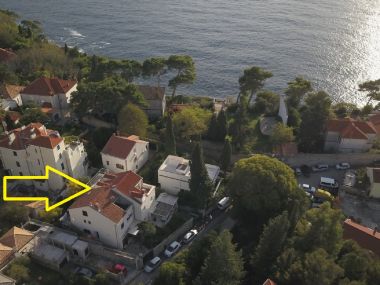 Apartementen en kamers Andri - 100m from sea: A1 Andrea(2+2), A2 Nika(2) Dubrovnik - Riviera Dubrovnik 