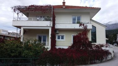 Apartementen Maja - 100 from the beach: A1- Galebovo krilo (2+2), A2-Uzorita (2+2), SA1(2) Podgora - Riviera Makarska 