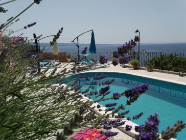 Apartementen Jugana - with pool : A1 donji(4), A2 gornji(4) Sumpetar - Riviera Omis 